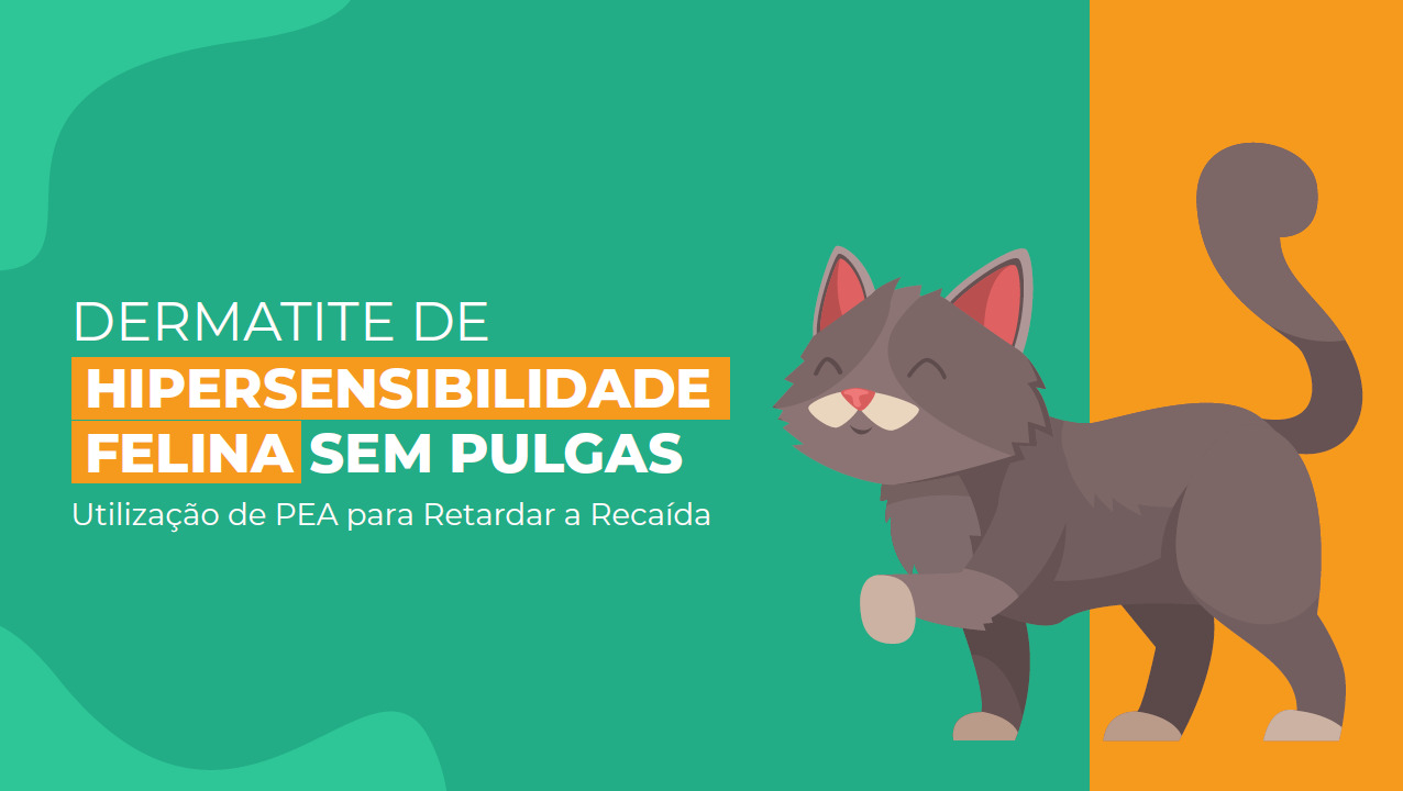 Dermatite de Hipersensibilidade Felina Sem Pulgas: